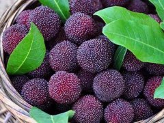 嘉弘塑料護目鏡專用PVC粒料，助力早日打贏疫情